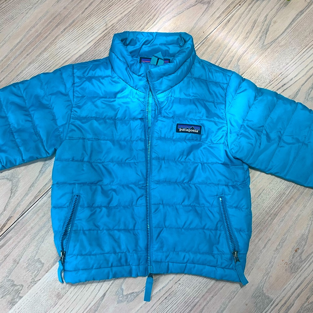 Patagonia toddler down sweater